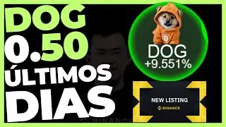 DOG GO TO THE MOON ALERTA GERAL 0.50 CENTS?