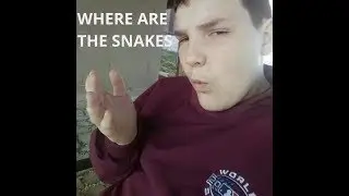 There are no snakes