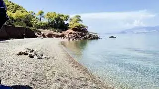 11 Αυγούστου 2024