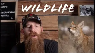 Every Photo Has a Story 6: Wildlife