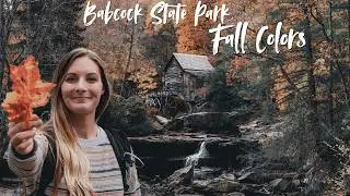 Babcock State Park: Beautiful Fall Colors in West Virginia 🍂