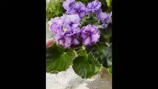 ВаТ-Мирное Небо спорт