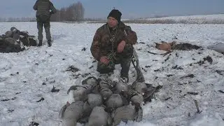 GOOSE 2025. HUNTING IN HARD CONDITIONS!!! WILD GOOSE SHAURMA!!!