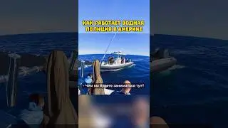 Как Работает ПОЛИЦИЯ в Америке