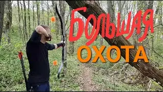 Стрельба из лука. Большая охота 2024
