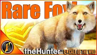 My NEW FAVORITE Rare Tibetan Fox! "Sand" Fur Type Gold! | theHunter Call of the Wild