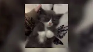 дипинс - этажи speed up