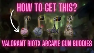 Valorant RiotX Arcane gun buddies