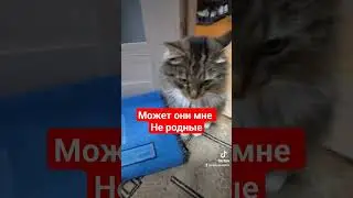 может они мне не родные 