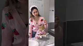 Cat spa day - skincare routine 