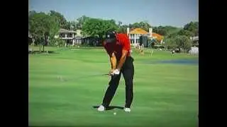 Tiger Woods - 3000 fps Slow Motion SuperG SwingVision
