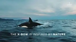 X-BOW YACHT