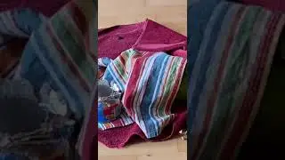 Funny parrot likes to cover himself #shorts