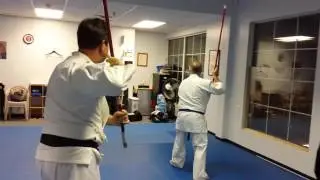 Aikido 13 Jo Kata with environmental weapons