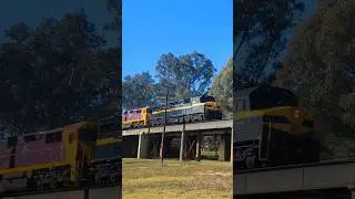 Locomotive C501 in VR Blue & Gold livery leading the SRHC Slow Rail Journey through Benalla #train