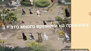 CatWar/+ и - быть котёнком в CatWar.