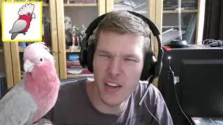My Channel Compilation #1