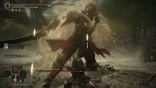 Finally Beating Pre-Nerf Promised Consort Radahn