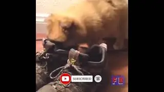 Funny Fails Compilation 2022 | Fail Out