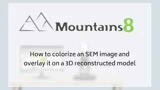MountainsSEM®8 | How to colorize an SEM image and overlay it on a 3D reconstructed model