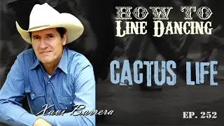 How to dance CACTUS LIFE 96 Counts Intermediate Country Line Dance.