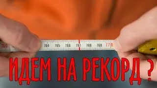 Конспекты и шпаргалки