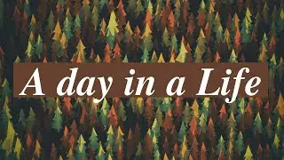 Song: A day in a life