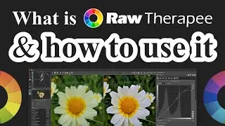 What is RawTherapee & how to use it in minutes • Easy Complete Video Tutorial