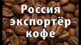 Россия на рынке кофе. Кофейный бизнес в Крыму