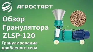 Обзор гранулятора ZLSP-120. Гранулирование дробленого сена. Агростарт.