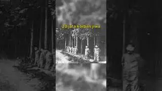 perang dengan jumlah korban jiwa terbanyak #ww2 #ww1 #war #worldwar