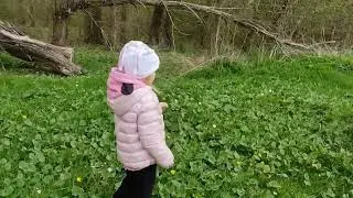 Крым. Замечательная прогулка ! Весна ,весна , как ты прекрасна !