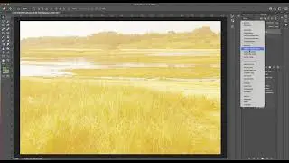 Wie bringe ich Farbe in mein Bild - Farbüberlagerung und -Mischung mit Fortuna Gold in Photoshop