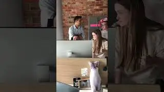 PM смотрит, как команда дружно работает  
