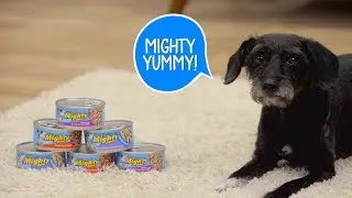 Mighty Dog Food | Chewy