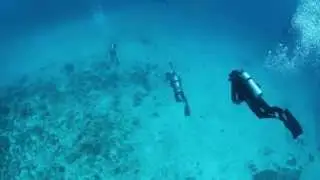 Stingray, Maldives