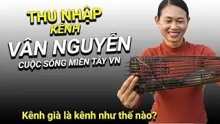 Income of the VÂN NGUYỄN CUỘC SỐNG MIỀN TÂY VN Channel, What Defines an Aged Channel?