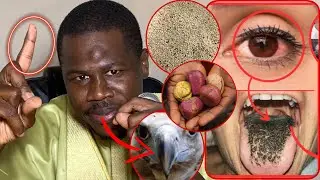 Kawte:les graves revelations de Diop Khass"ligueye bou nek si nitt,thiat , Sarakh ,et...