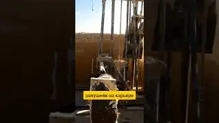 Выбираем ракушечник на карьере. #ракушка #ракушечник #ракушняк #севастополь #крым #дом #черноеморе