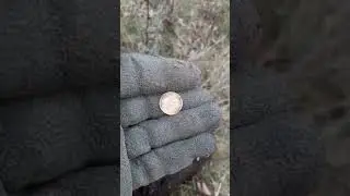 #ищудрузей #скарб #золото #пошукскарбів #скарб #тотктоищет