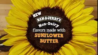 Introducing 3 NEW Ben & Jerry’s Non-Dairy Flavors! | Ben & Jerry’s