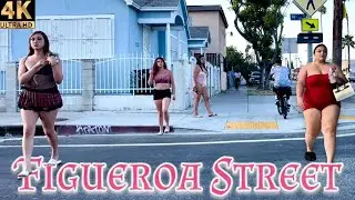 The Streets of LA 🌞 (Summer Edition) | Los Angeles, California [4K]  🇺🇸