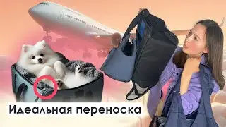 Как выбрать переноску для собаки. Как приучить собаку к переноске