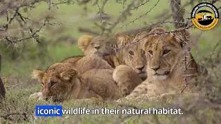 UNFORGETTABLE JOURNEY IN TANZANIA