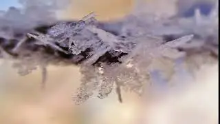 БЕРЁЗЫ - ст.В.Вальякка, муз./исп.С.Гоноболева