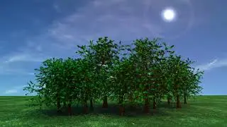 Tree planting has 