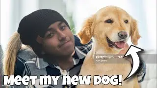 Meet my new dog!