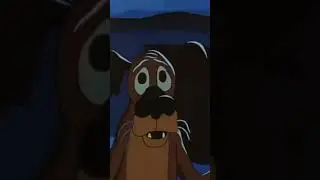 #Жил
