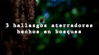 3 hallazgos aterrorizantes hechos en bosques ~ By Dross