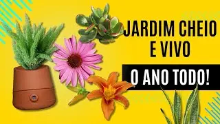 Plantas que se adaptam a qualquer tipo de clima! Veja quais cultivar no seu jardim